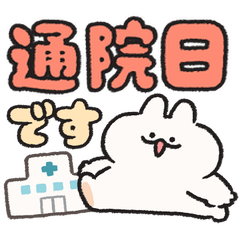 病院・通院連絡 うさぎときどきにんじん