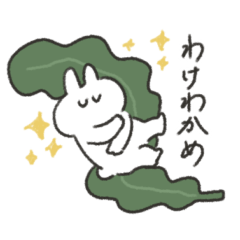 おふざけするうさぎときどきにんじん