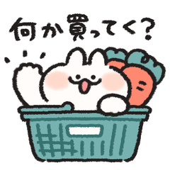 夫婦・同棲連絡 うさぎときどきにんじん